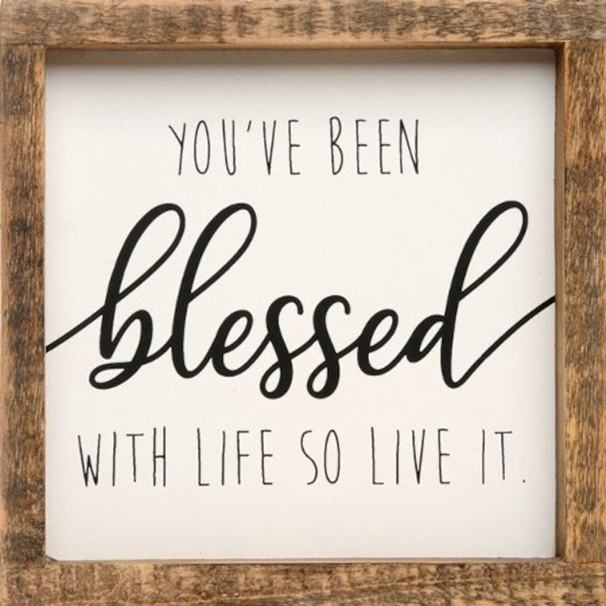You've Been Blessed with Life | Framed Sign Stock