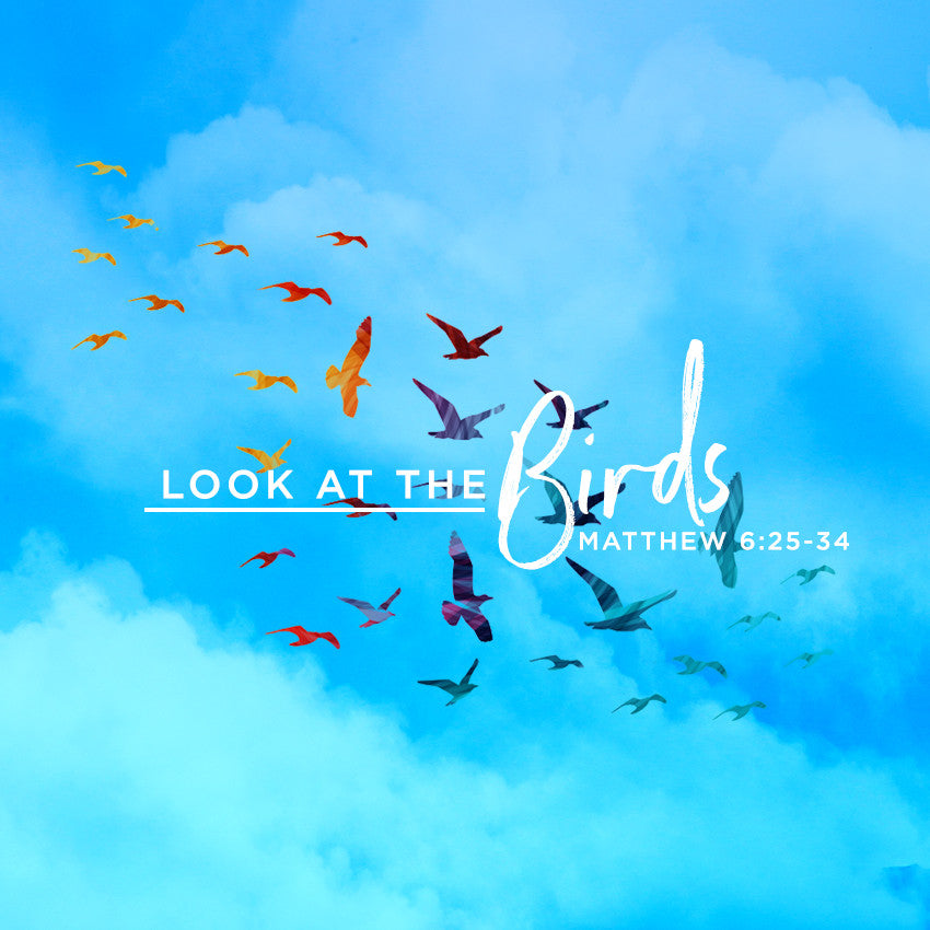 20170624 Look At The Birds, MP3, English
