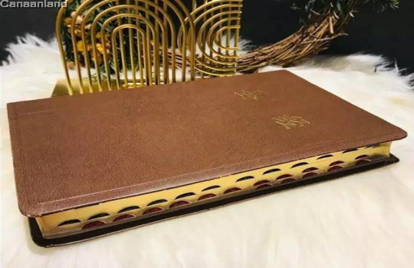 CUV Simplified Std Print Brown Index Gold Edge
