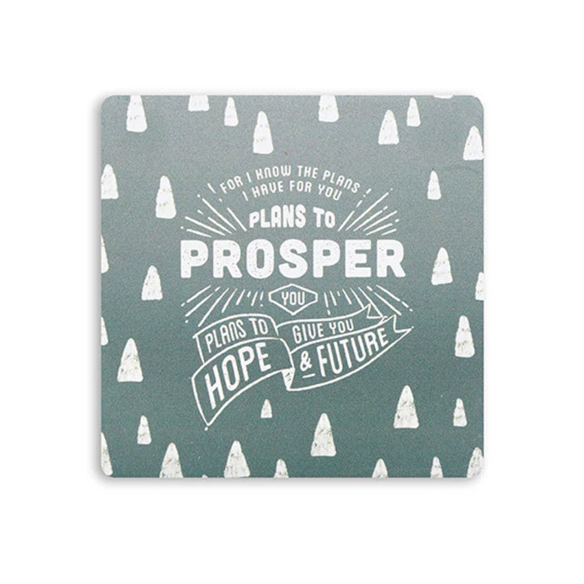 Plans To Prosper You | Coaster