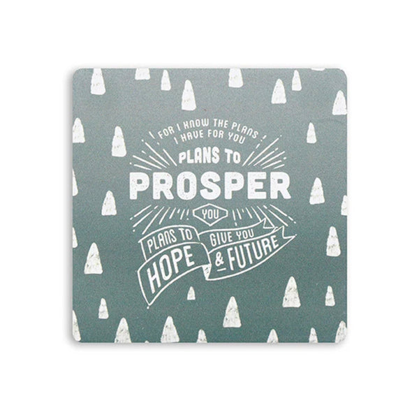 Plans To Prosper You | Coaster
