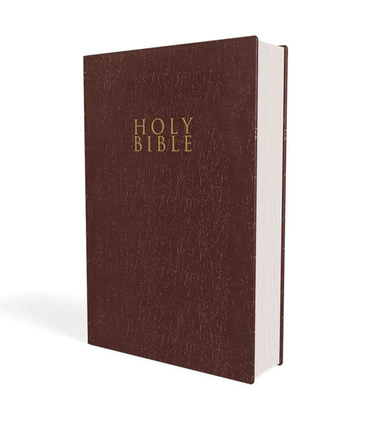 NIV Gift and Award Bible Burgundy
