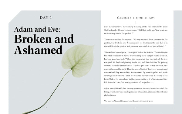 Jesus Every Day: Beautifully Broken: |  Devotional Guide