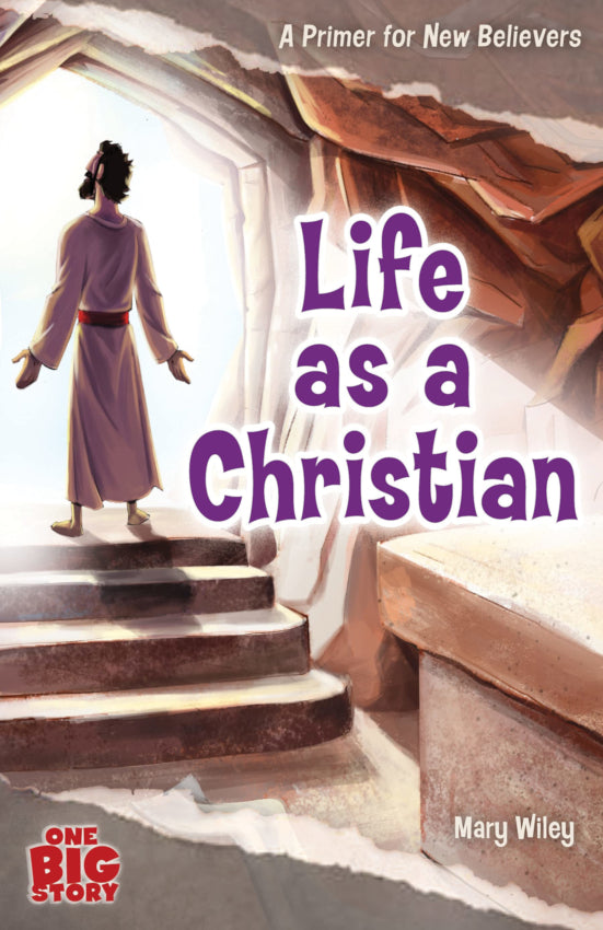 Life as a Christian A Primer for New Believers