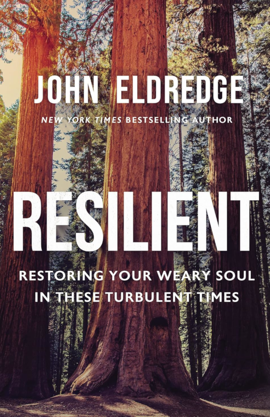 Resilient: Restoring Your Weary Soul in These Turbulent Times