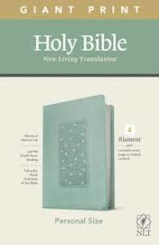 NLT Personal Size Giant Print Bible Filament Edition Floral Frame Teal