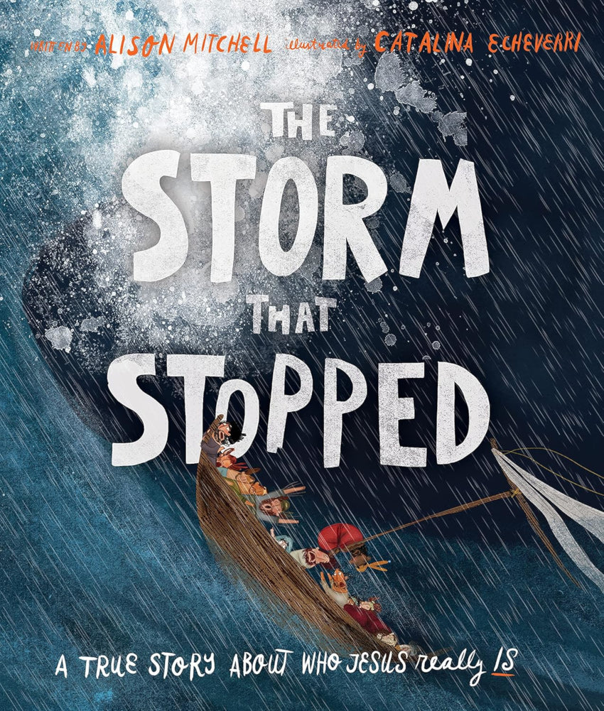 The Storm That Stopped: A True Story About Who Jesus Really Is