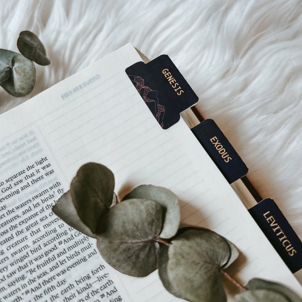 Bible Tabs | Midnight Wonder