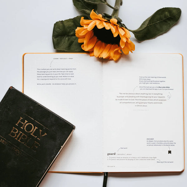 Dive Deep: Philippians | Journal