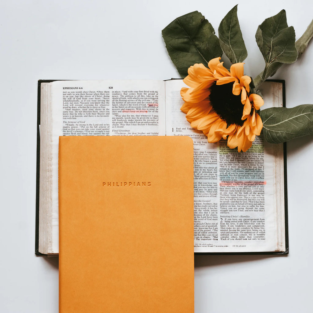 Dive Deep: Philippians | Journal