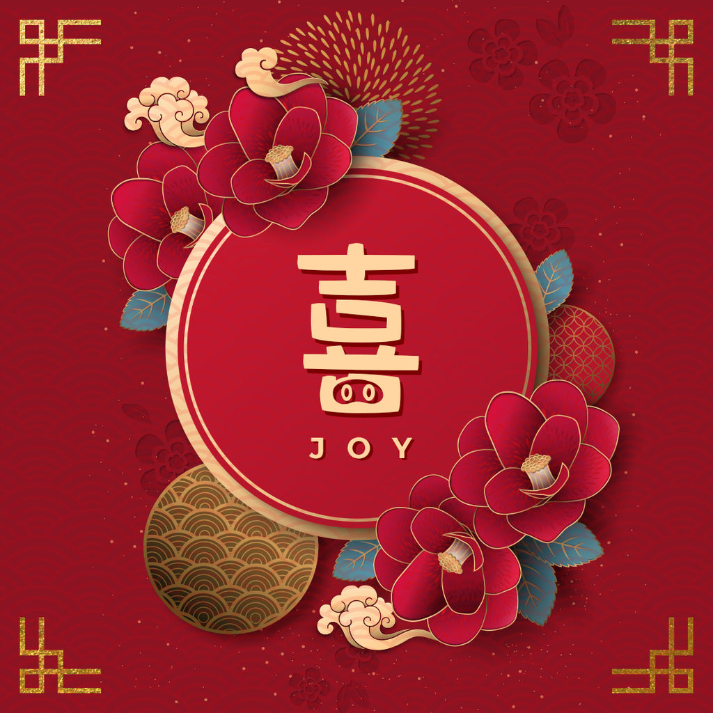 20190202 Joy, MP3, English/Chinese