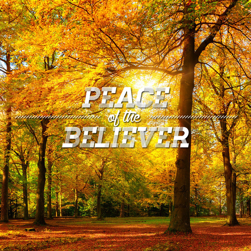 20151024 Peace of The Believer Part 1, MP3, English