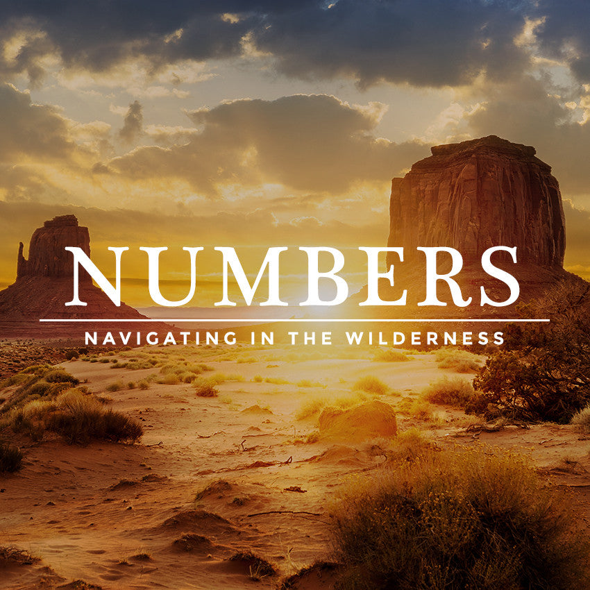 20170318 Numbers 1: In The Wilderness, MP3, English