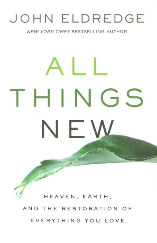 All Thing New, Paperback