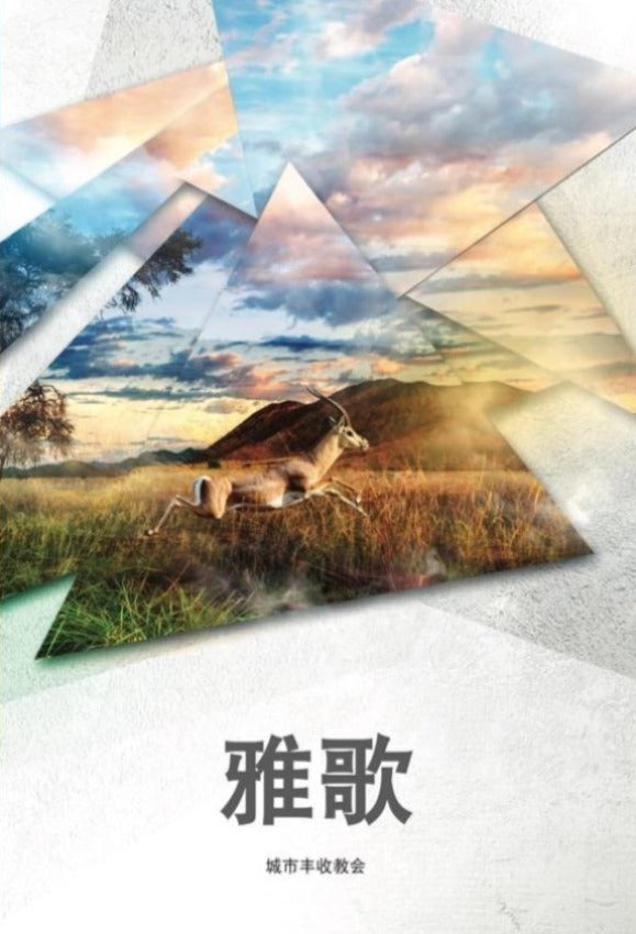 雅歌 Song of Solomon (Student), Paperback, Chinese