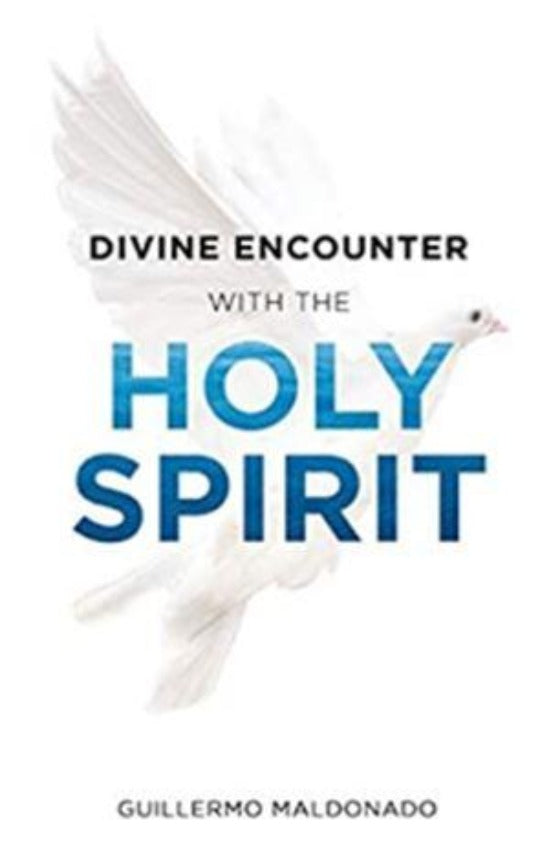 Divine Encounter with the Holy Spirit, Paperback