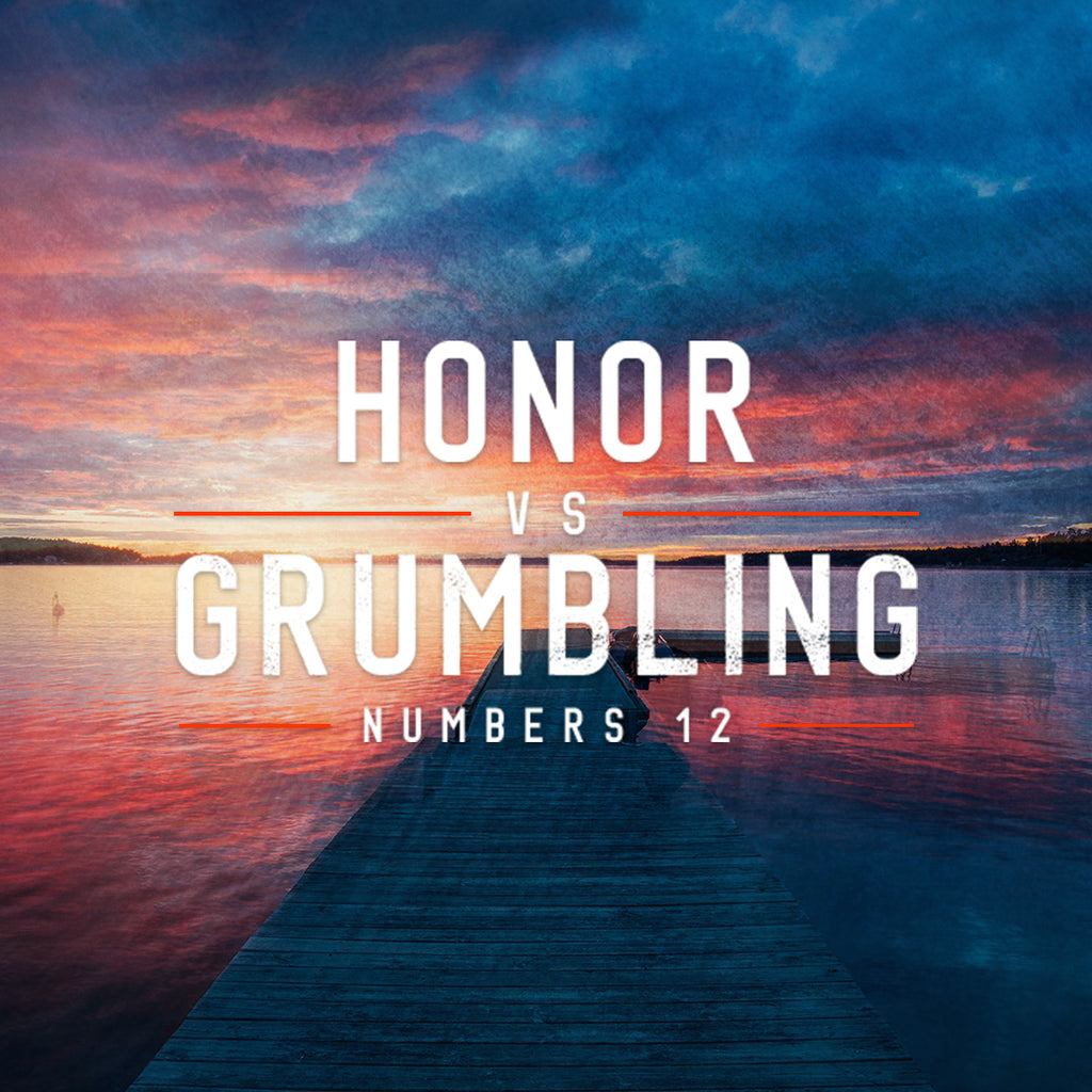 20180728 Numbers 12: Honor vs Grumbling, MP3, English