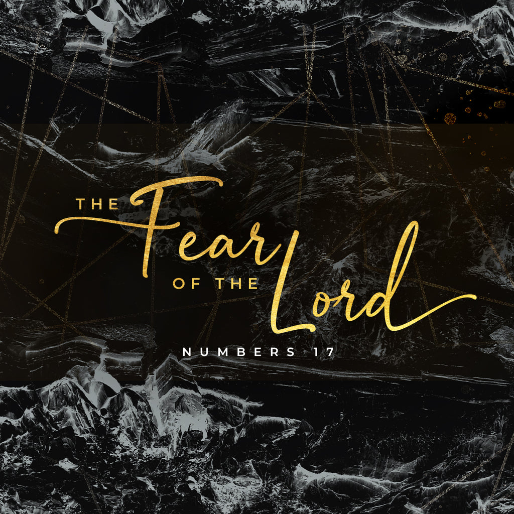20190119 Numbers 17: The Fear Of The Lord, MP3, English
