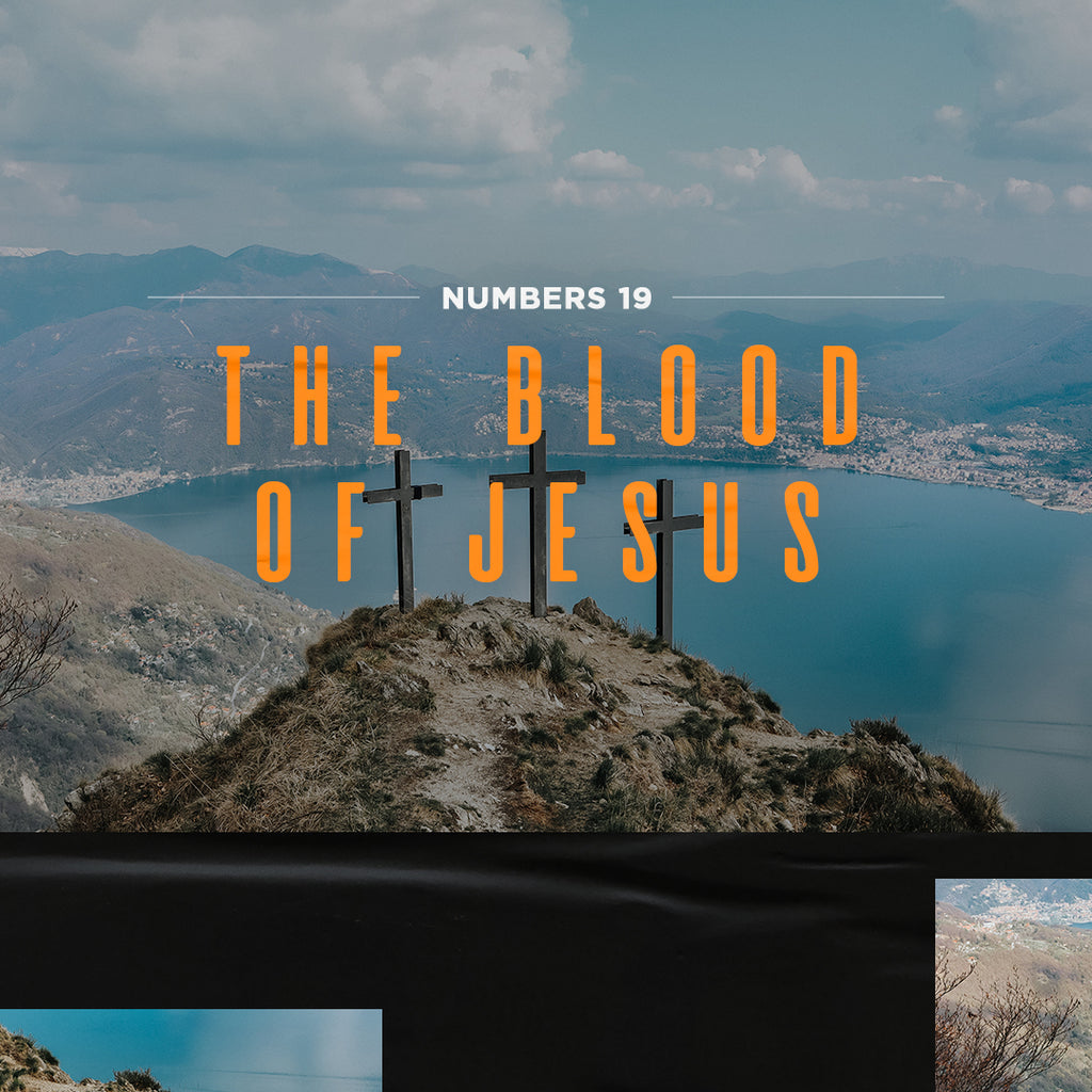 20190803 Numbers 19: Blood Of Jesus, MP3, English