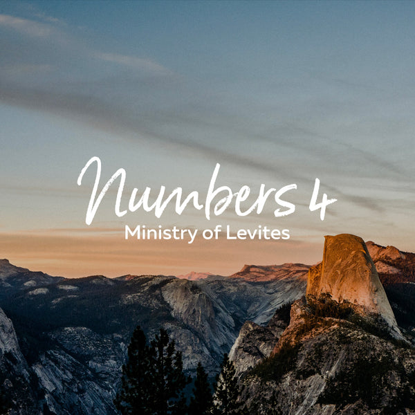 20170812 Numbers 4: Ministry of the Levites (12 Aug 2017), MP3, English