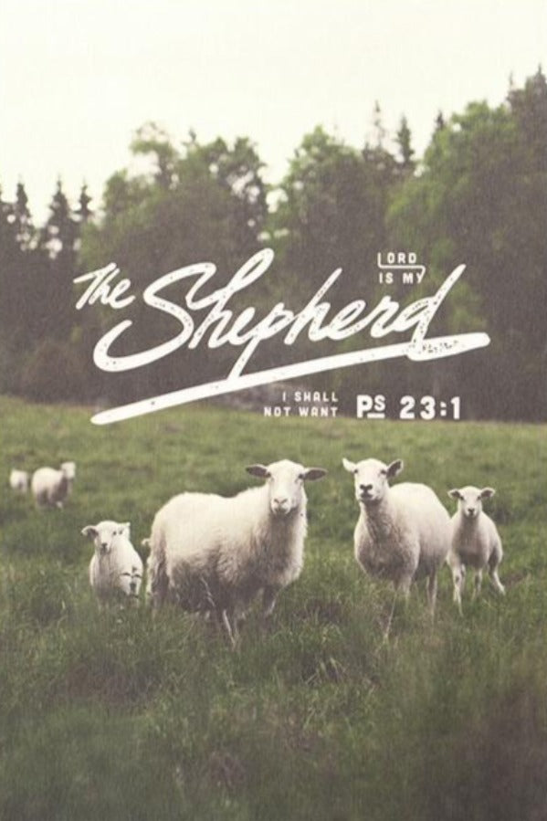 Postcards | The Commandment Co